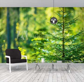 Picture of Growing Forest Theme